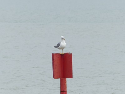 P1720639