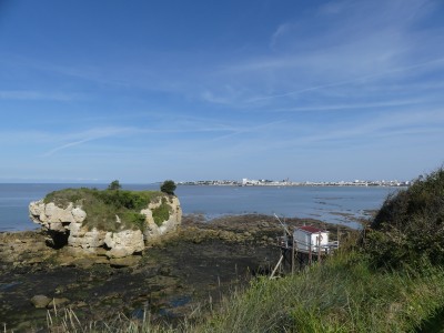 P1720681