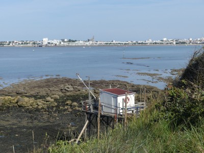 P1720684