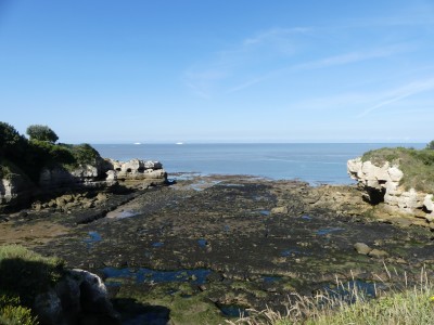 P1720685