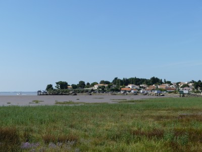 P1720692