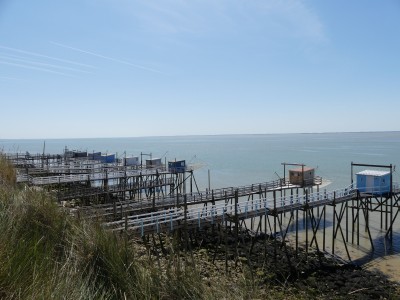 P1720736