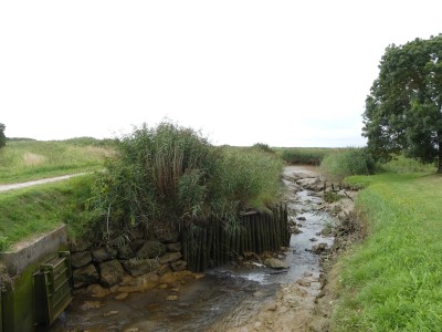 P1720759