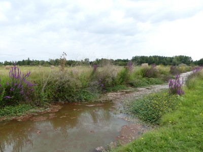 P1720762