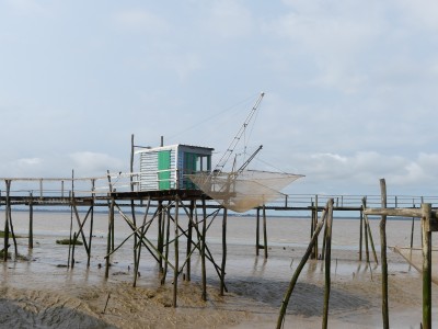 P1720774