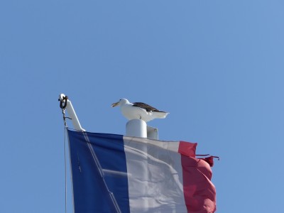 P1730050
