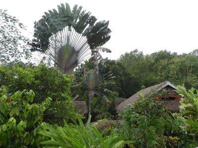 P1750622