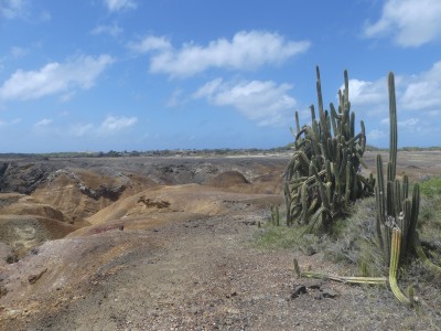 P1750774