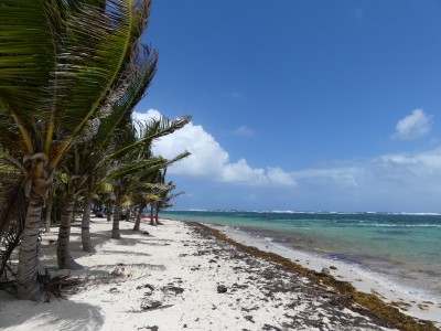 P1760015