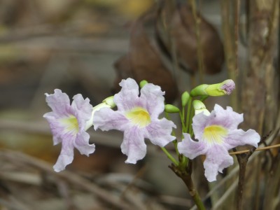 P1760250