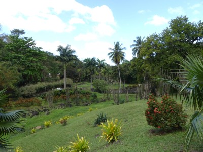 P1760704