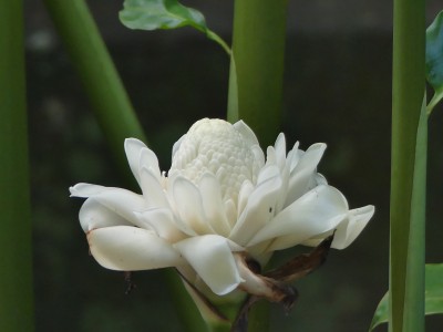 P1760824