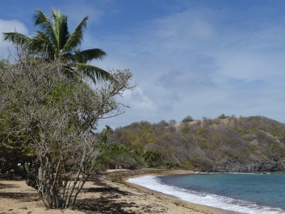 P1770660