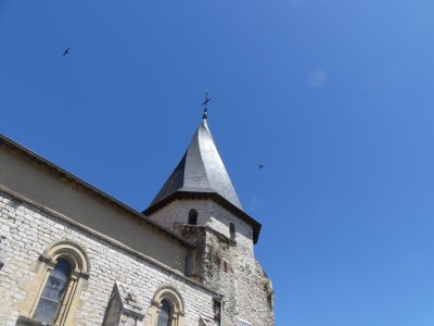 P1780917