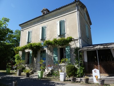 P1780960