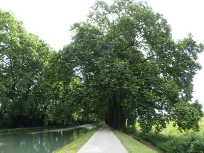 P1790009