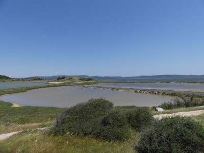 P1790882