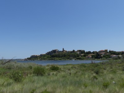 P1790917