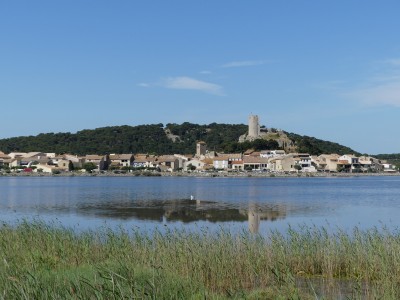 P1790999