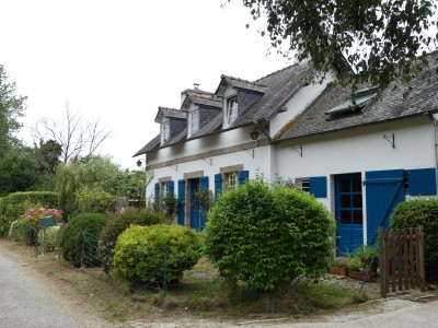 P1800451