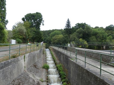 P1800495