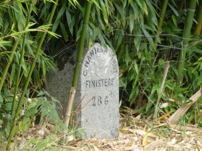 P1800576