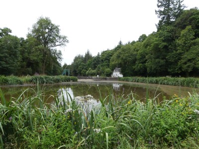 P1800611