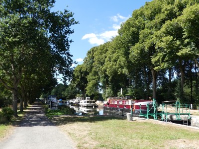 P1810060