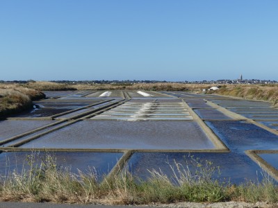 P1810276