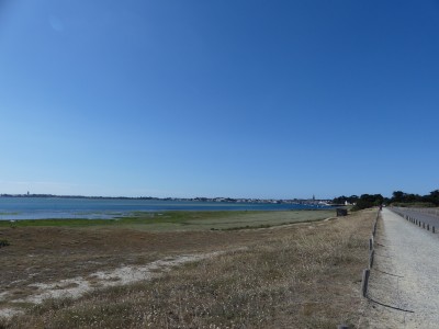 P1810298