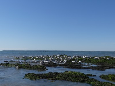 P1810405