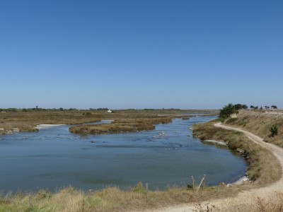 P1810491
