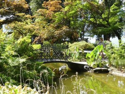 Villa Monastero jardin botanique