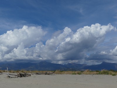 Torre del Lago Puccini