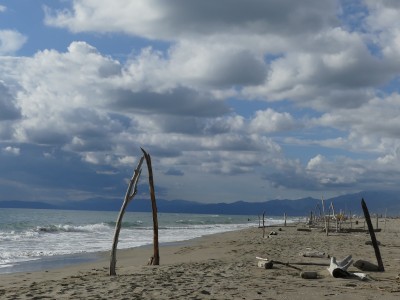 Torre del Lago Puccini