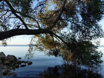 La Londe-les-Maures