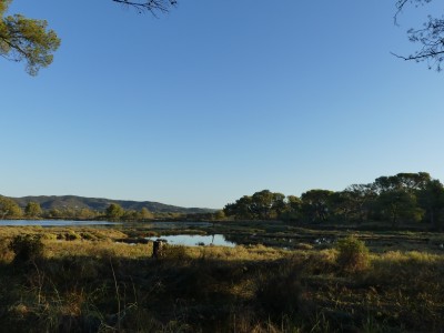La Londe-les-Maures