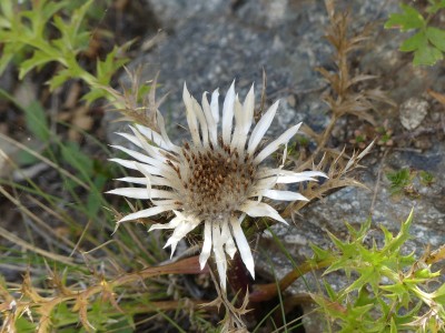 P1820081