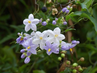 P1820206