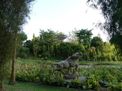 P1260019