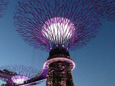 Supertree Grove
