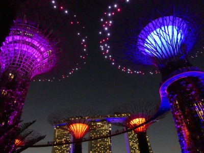 Supertree Grove