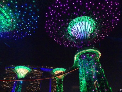 Supertree Grove