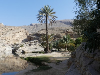 Wadi bani khalid
