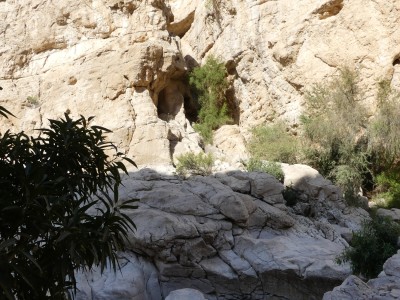 Wadi bani khalid