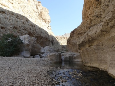 Wadi bani khalid