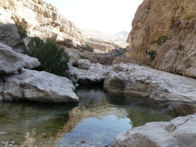 Wadi bani khalid