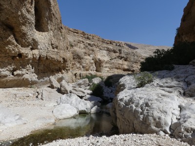 Wadi bani khalid
