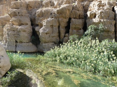 Wadi Shab