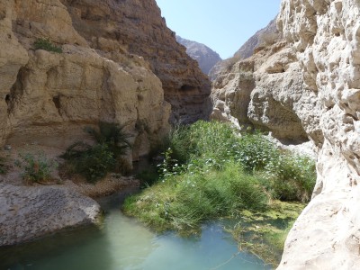 Wadi Shab